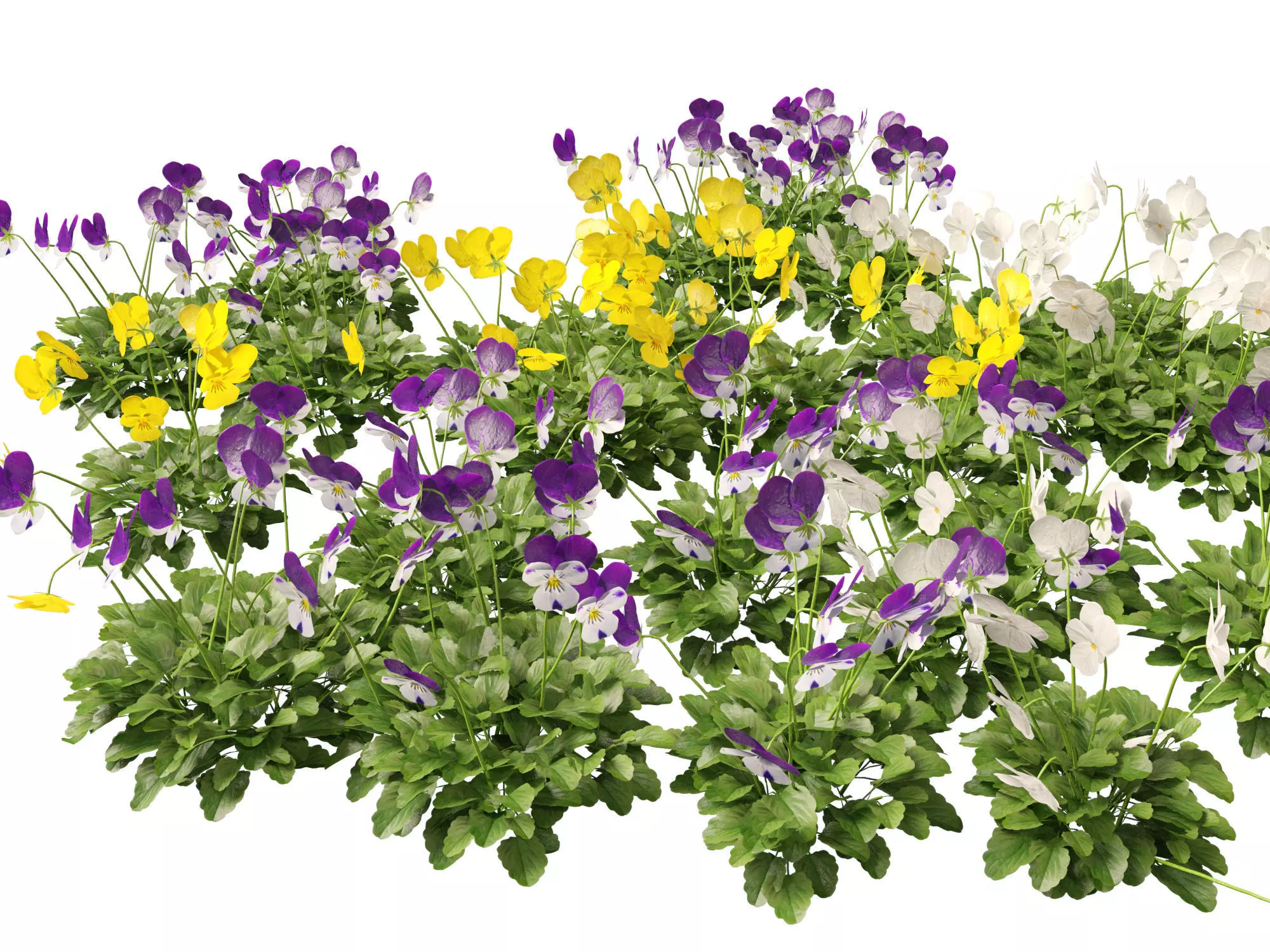 Groundcovers Pack 23 3D model_23