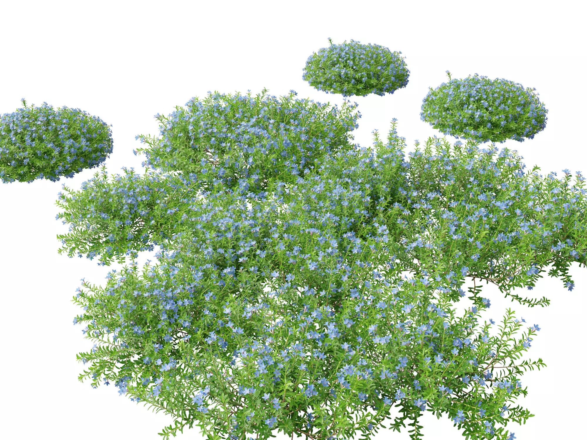 Groundcovers Pack 23 3D model_11