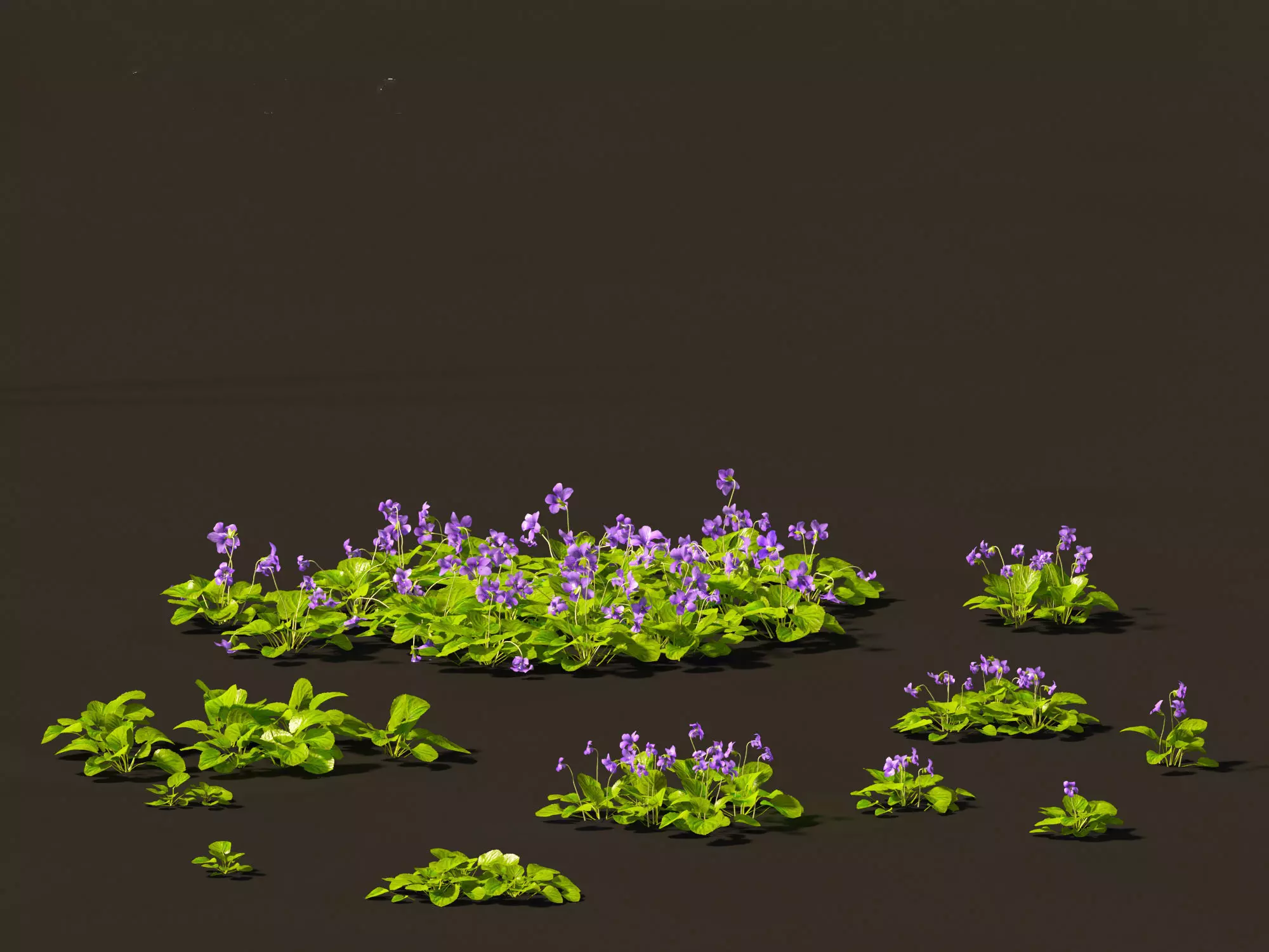 Groundcovers Pack 23 3D model_25