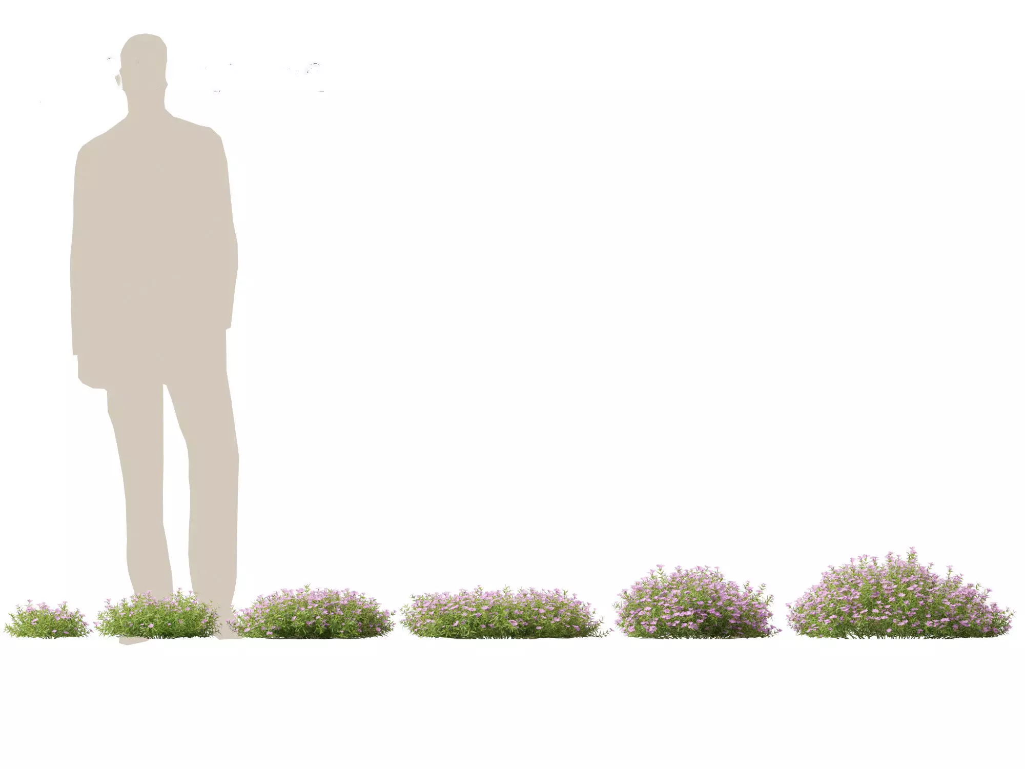 Groundcovers Pack 23 3D model_16