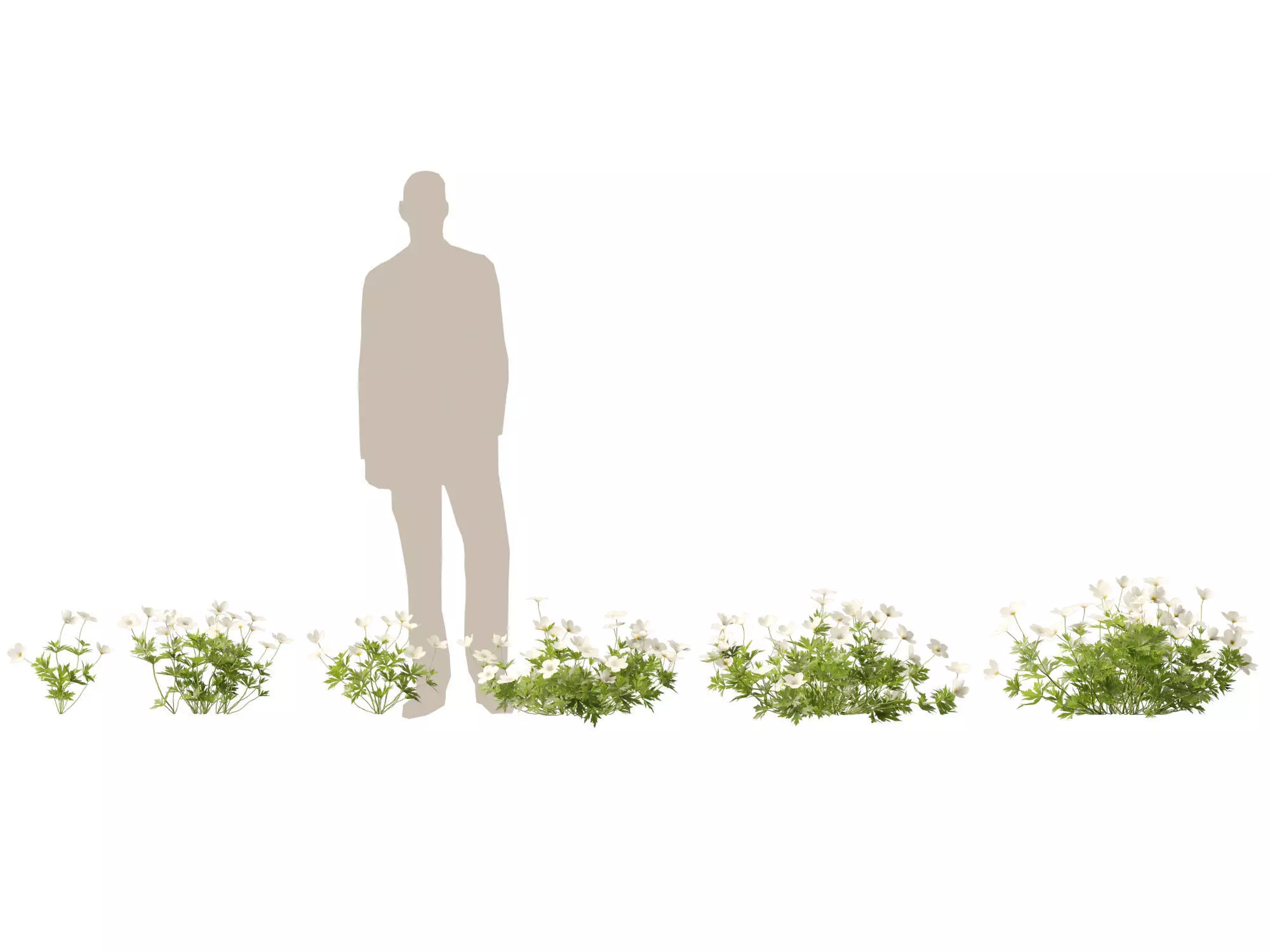 Groundcovers Pack 23 3D model_3