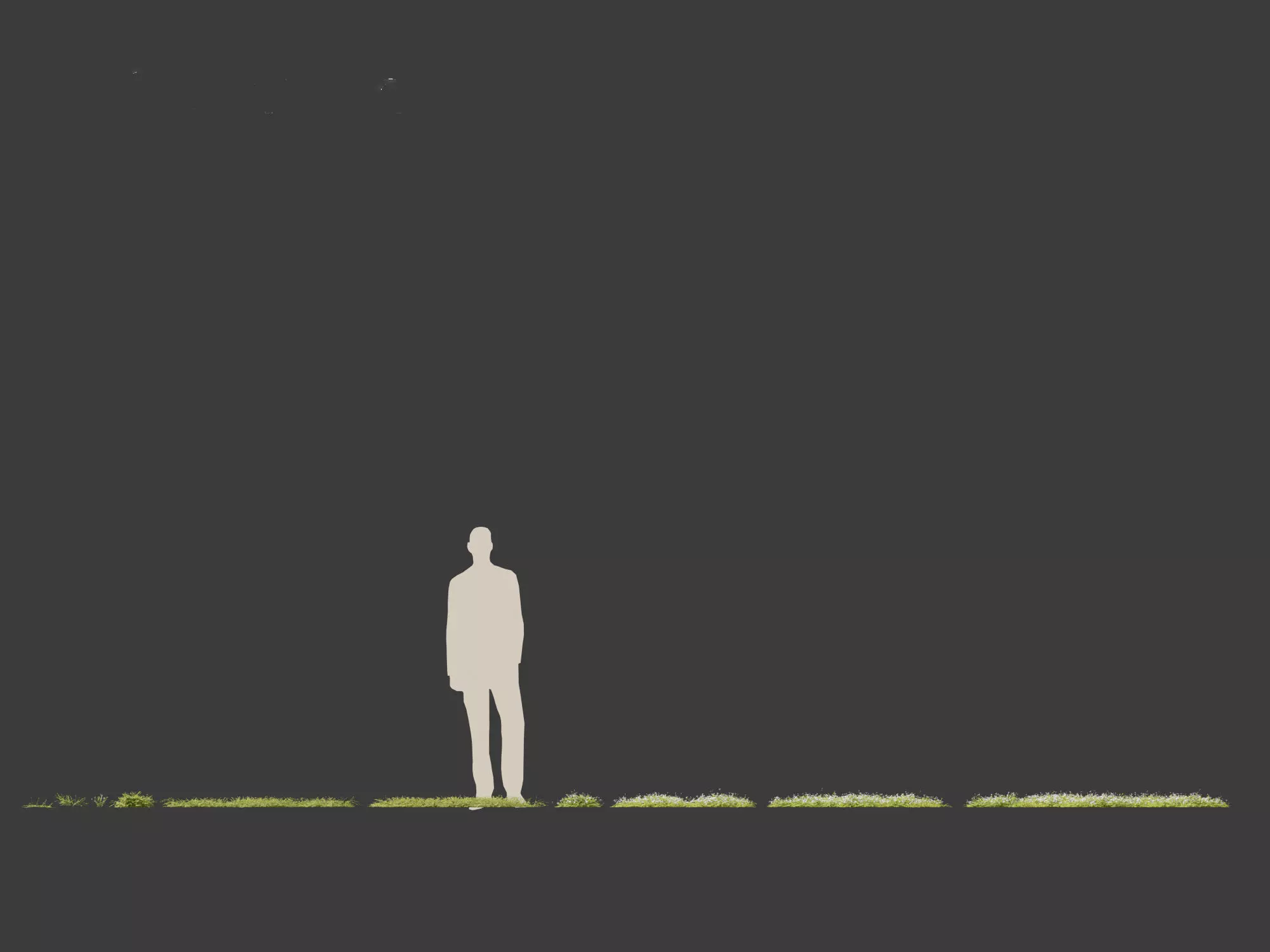 Groundcovers Pack 23 3D model_8