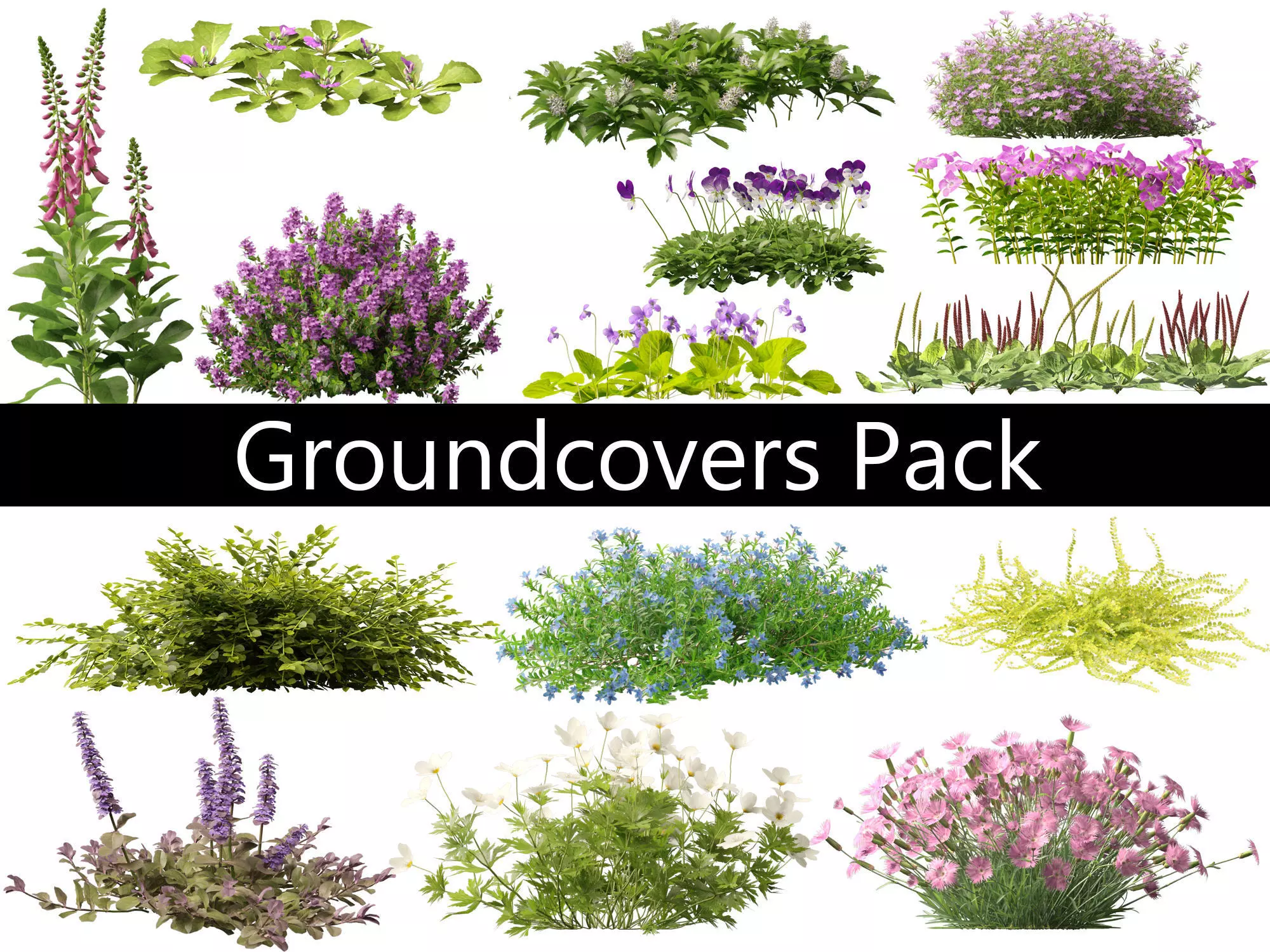 Groundcovers Pack 23 3D model_0