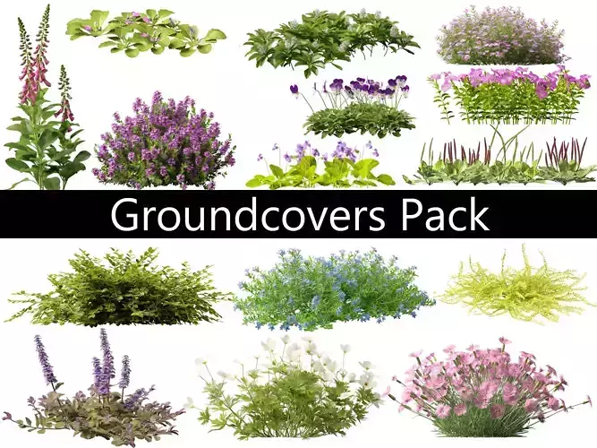 Groundcovers Pack 23