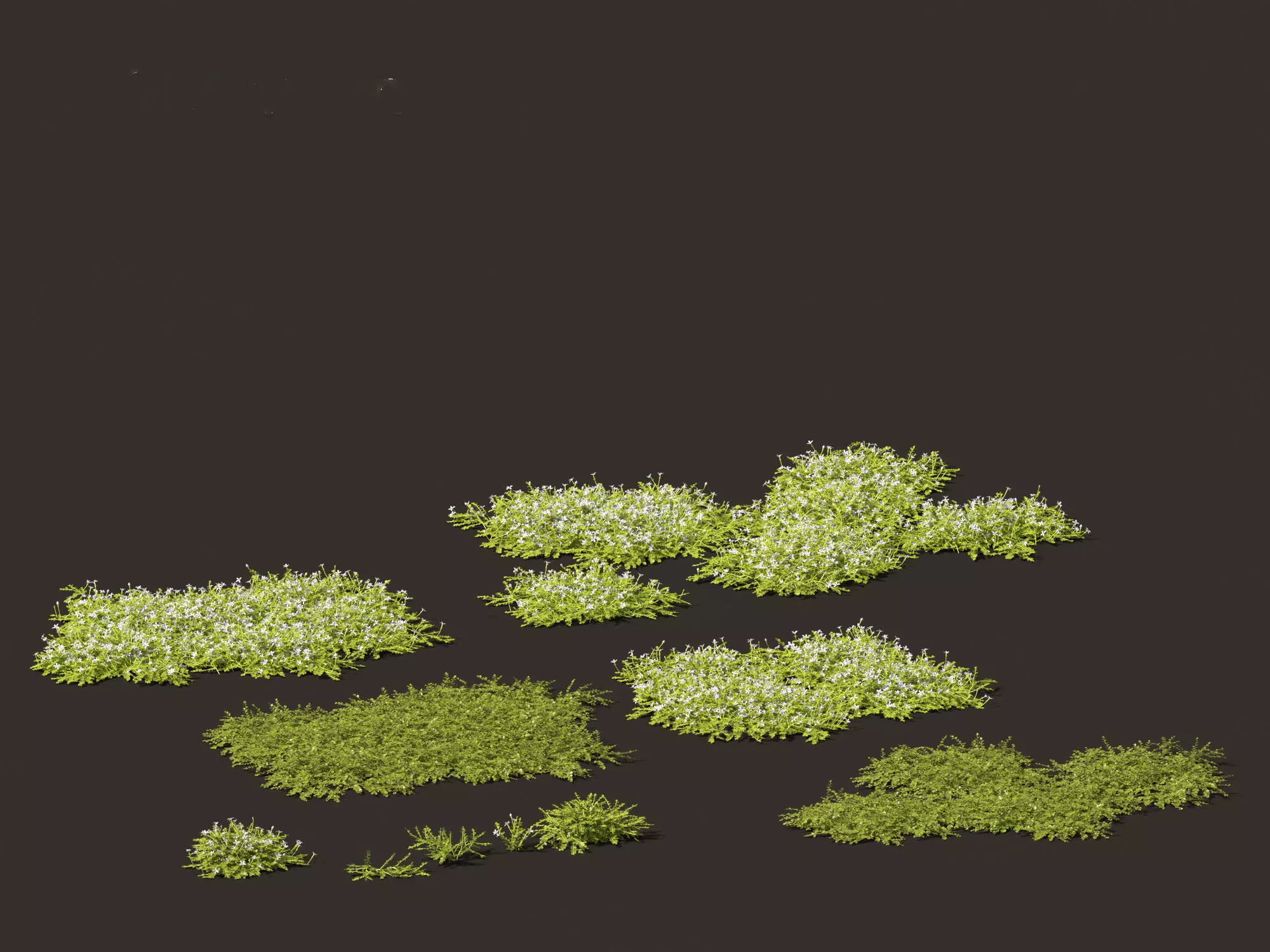 Groundcovers Pack 23 3D model_9