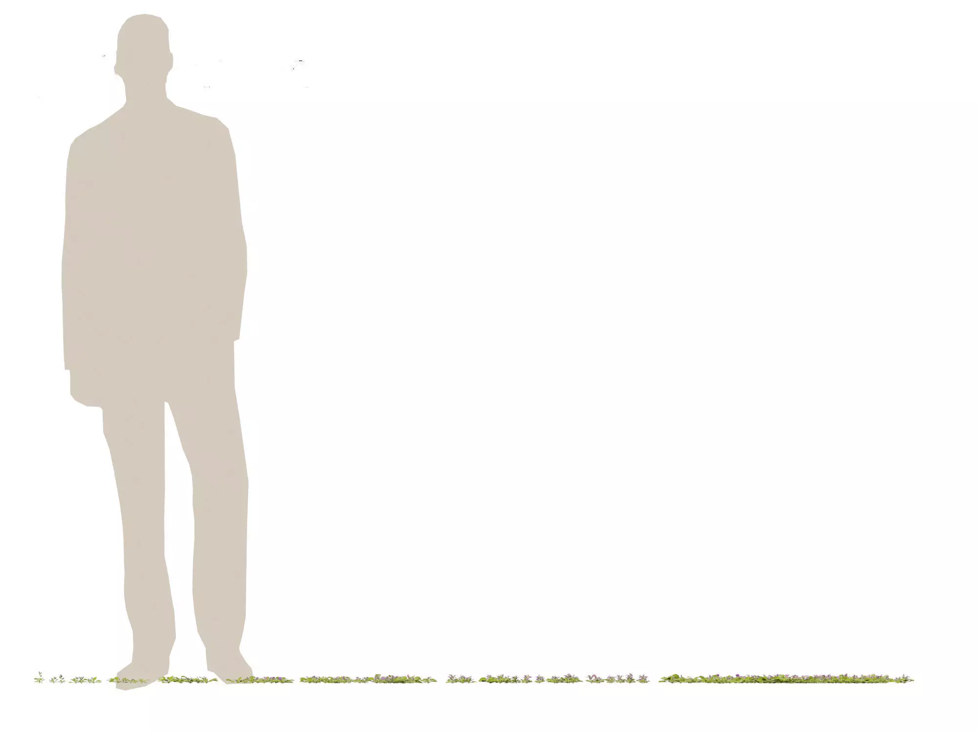 Groundcovers Pack 23 3D model_14