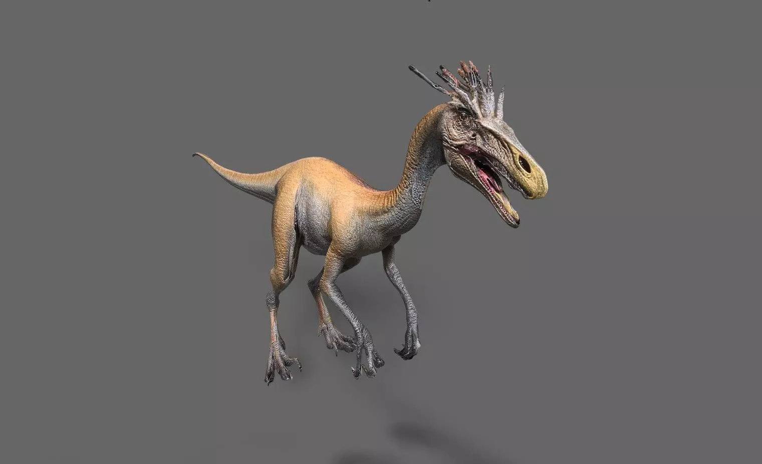 Dinosaurs Pack 6 Low-poly 3D model_2