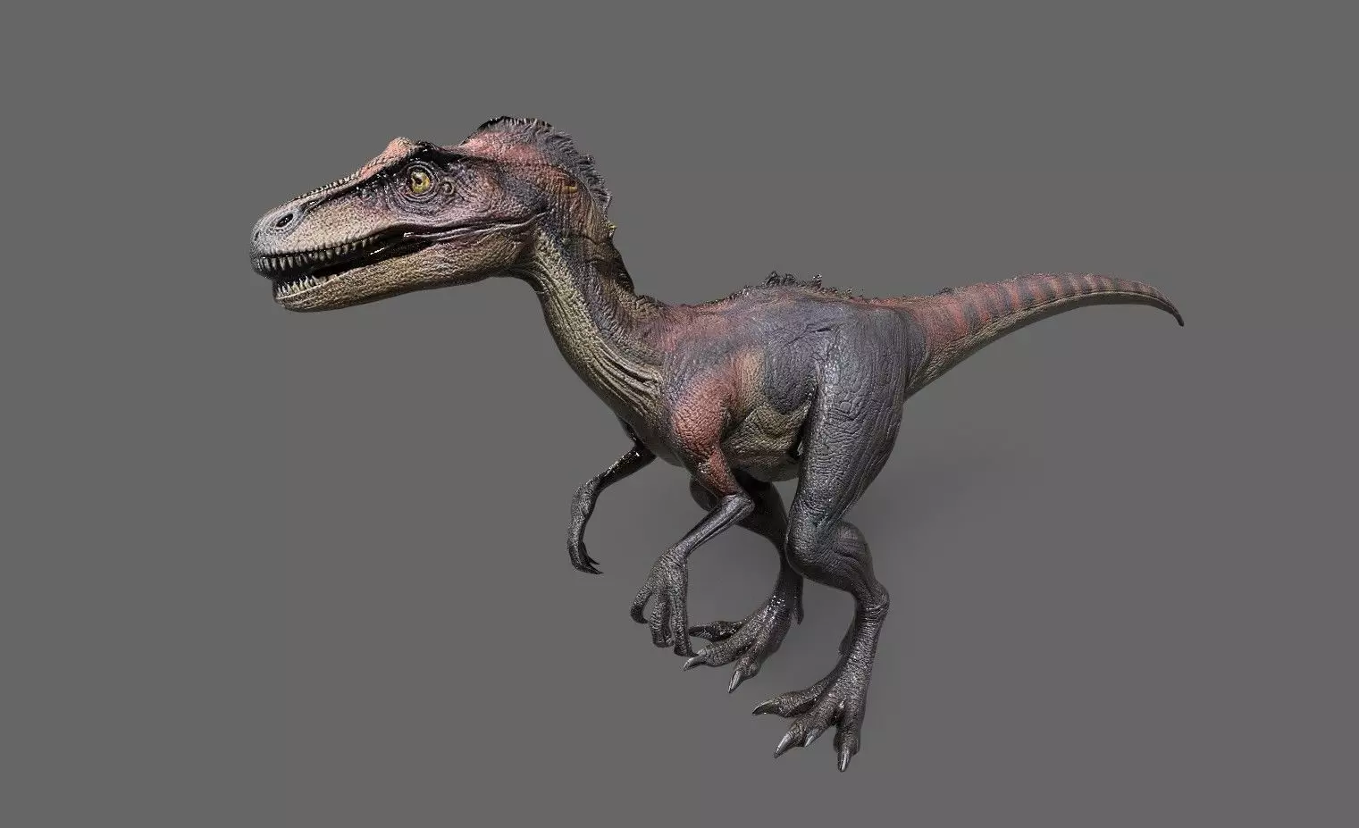 Dinosaurs Pack 6 Low-poly 3D model_17