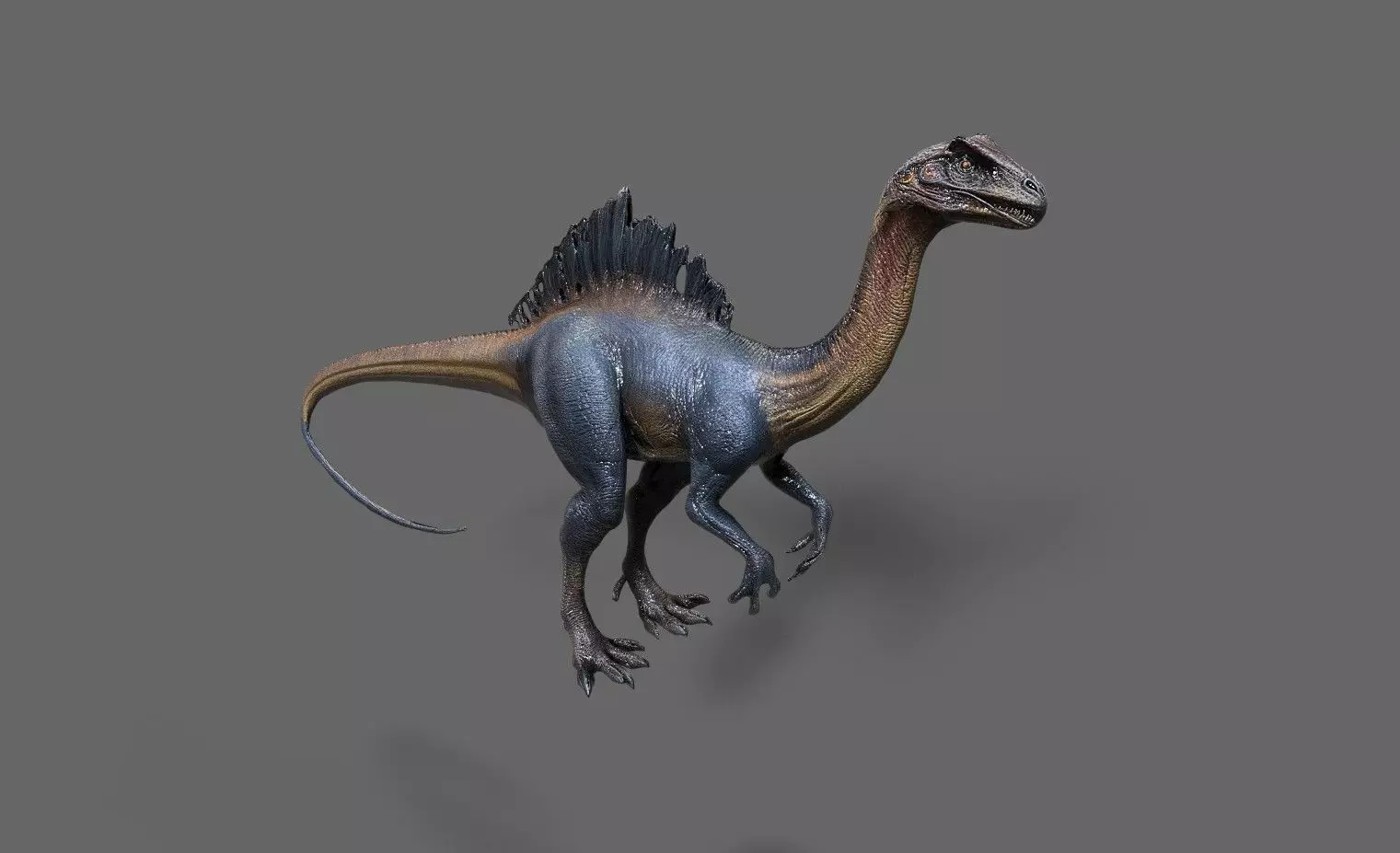 Dinosaurs Pack 6 Low-poly 3D model_5