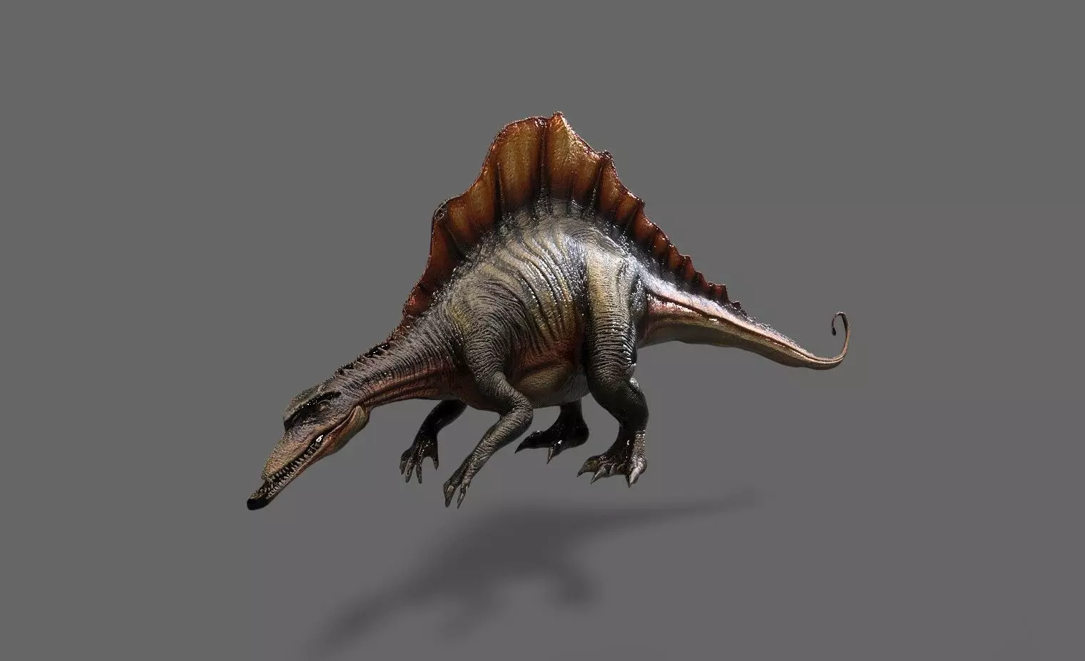 Dinosaurs Pack 6 Low-poly 3D model_4