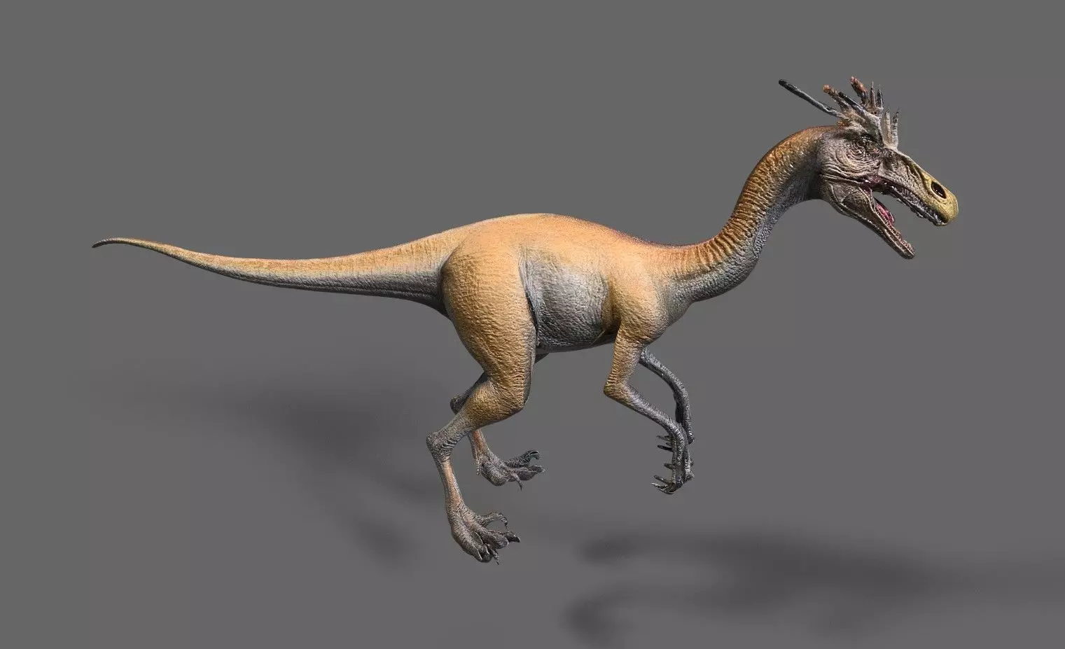 Dinosaurs Pack 6 Low-poly 3D model_8