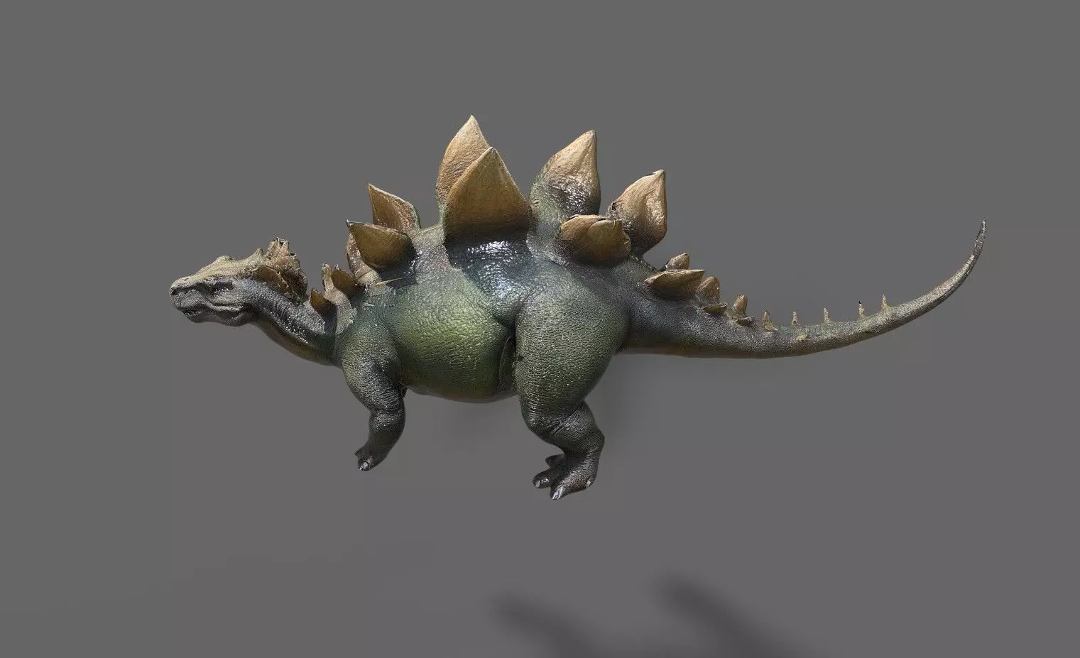 Dinosaurs Pack 6 Low-poly 3D model_13