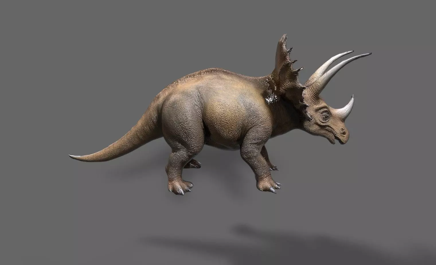 Dinosaurs Pack 6 Low-poly 3D model_7