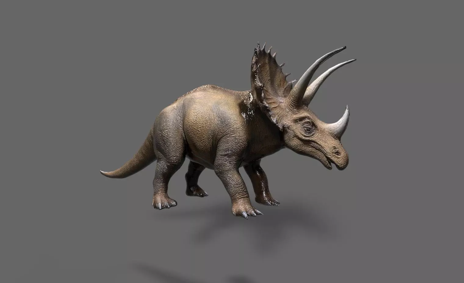 Dinosaurs Pack 6 Low-poly 3D model_1