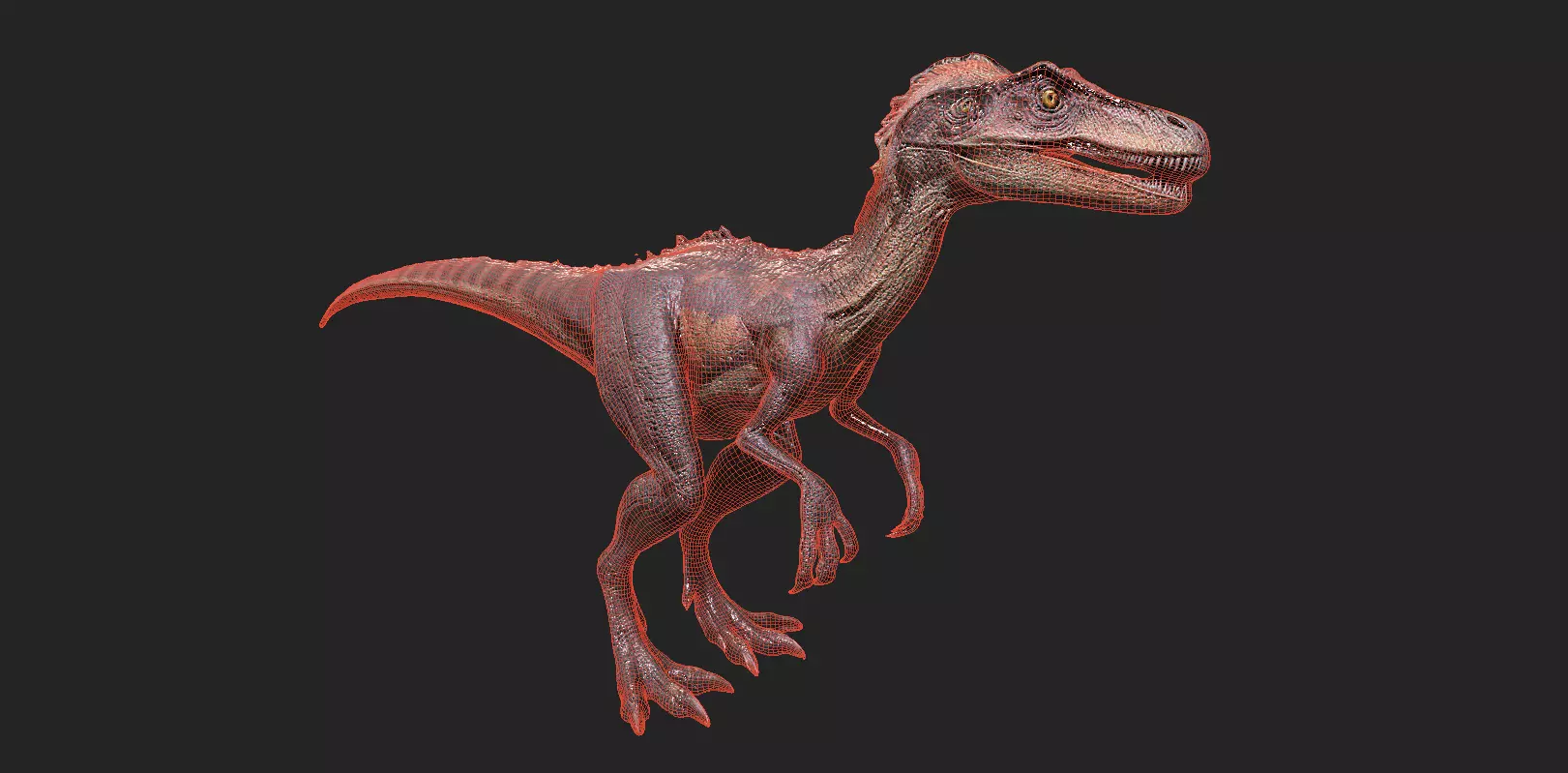 Dinosaurs Pack 6 Low-poly 3D model_23