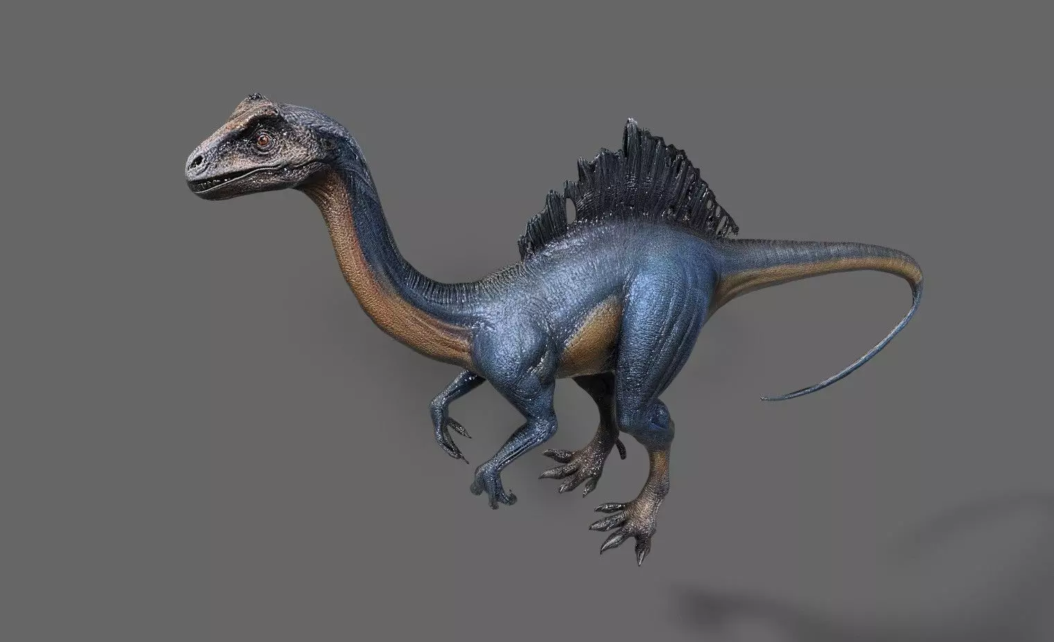 Dinosaurs Pack 6 Low-poly 3D model_19