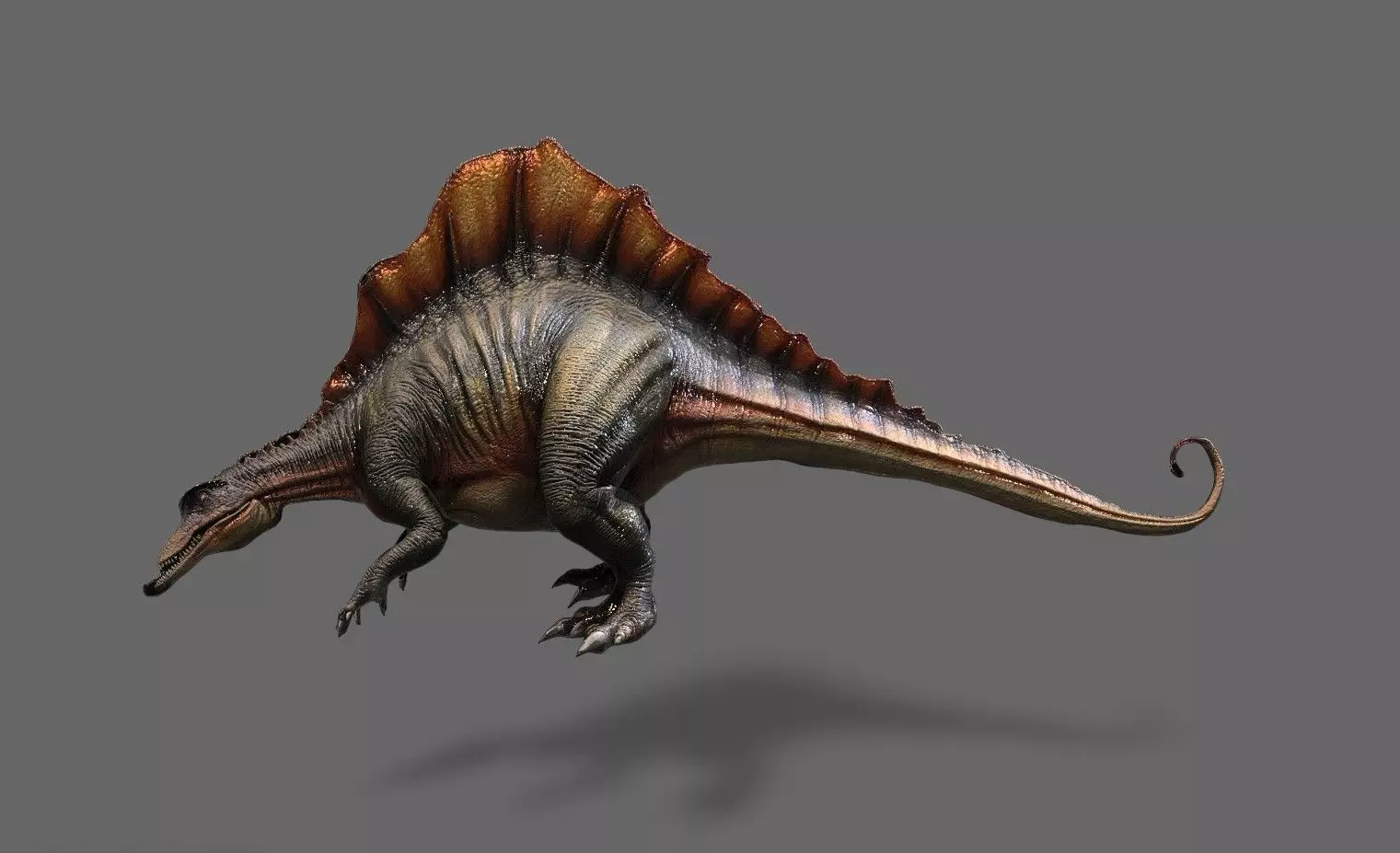 Dinosaurs Pack 6 Low-poly 3D model_11