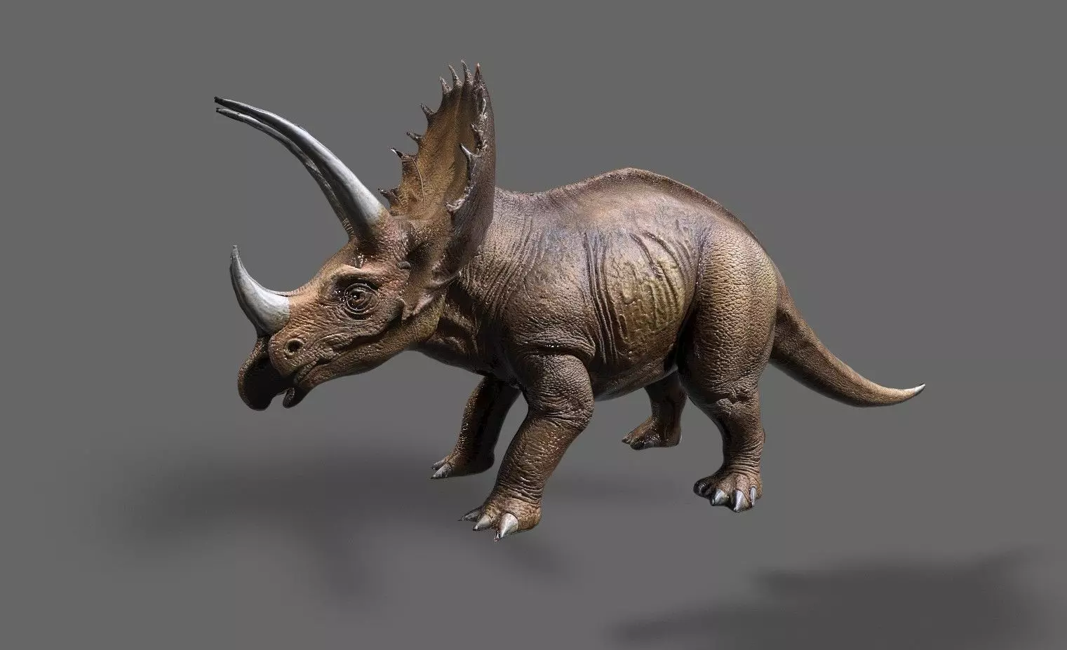 Dinosaurs Pack 6 Low-poly 3D model_14