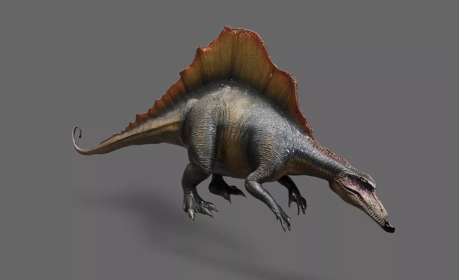 Dinosaurs Pack 6 Low-poly 3D model_18