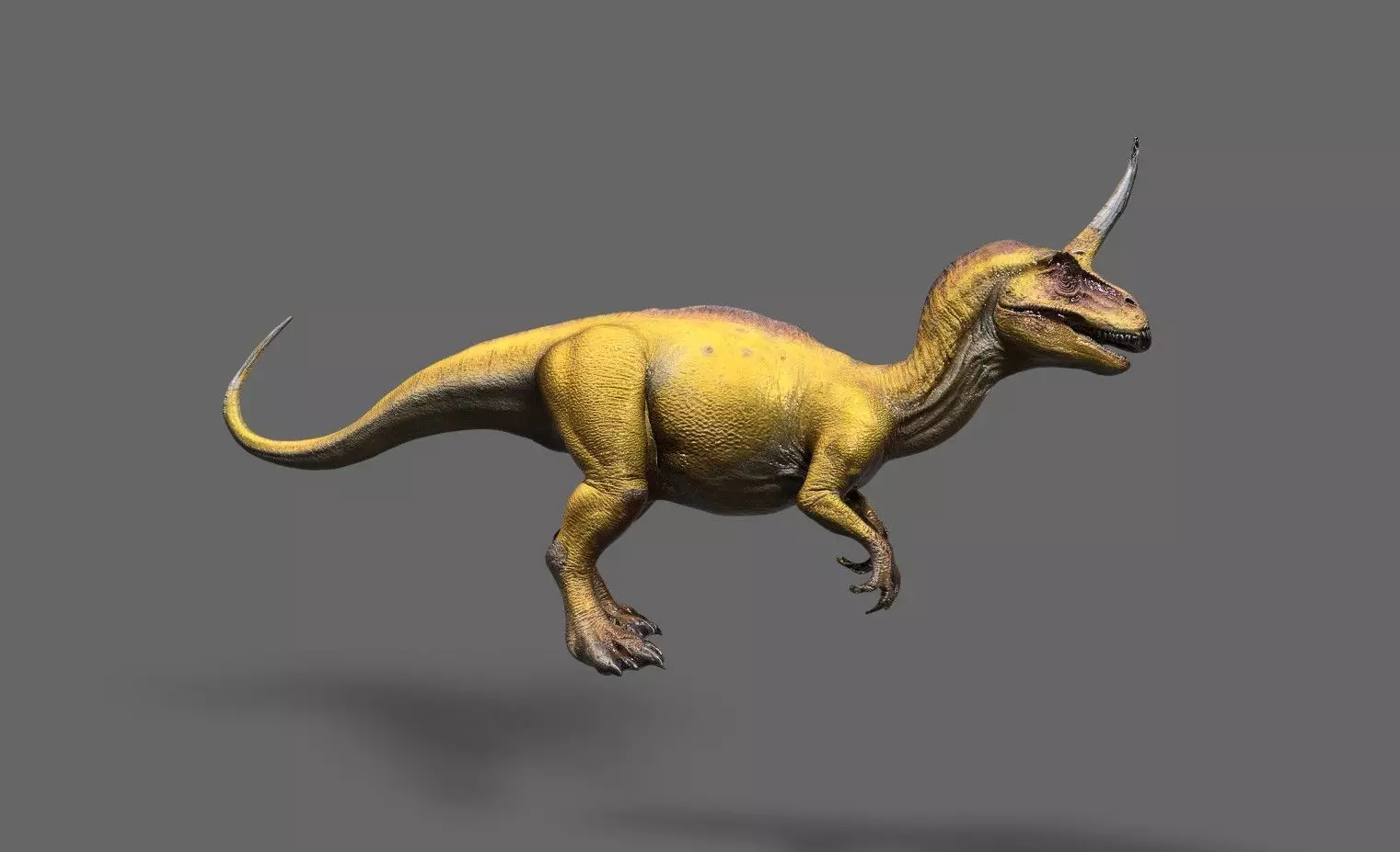 Dinosaurs Pack 7 Low-poly 3D model_14