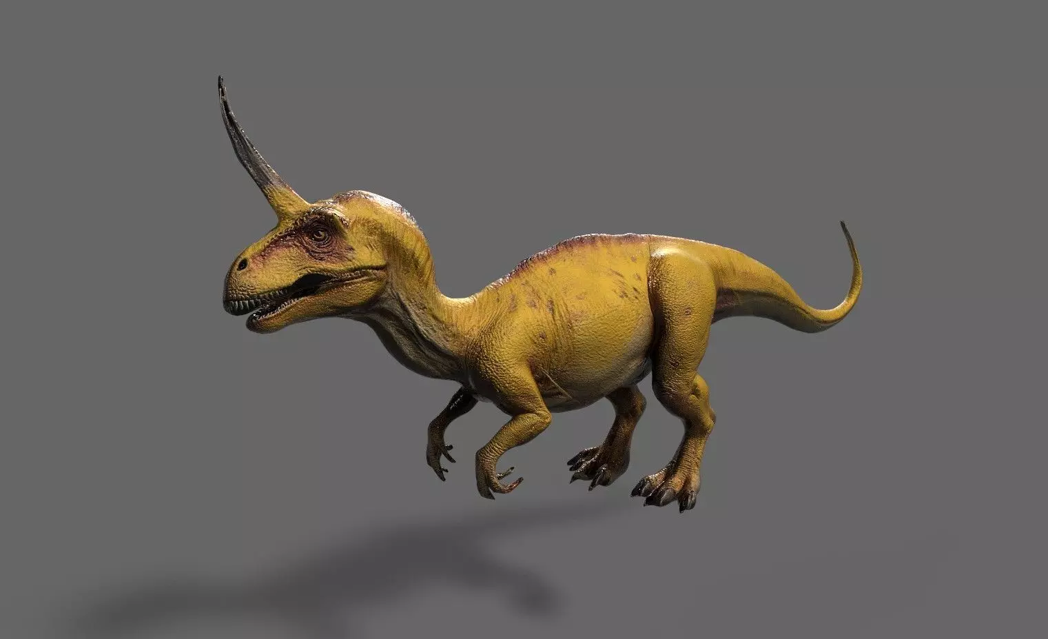 Dinosaurs Pack 7 Low-poly 3D model_21