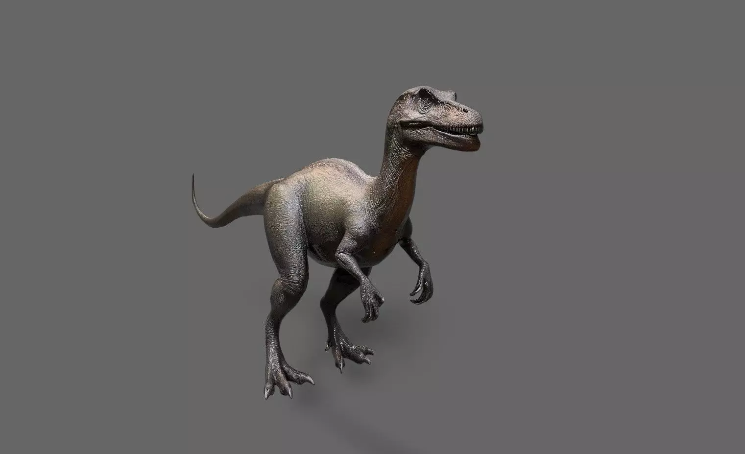 Dinosaurs Pack 7 Low-poly 3D model_2
