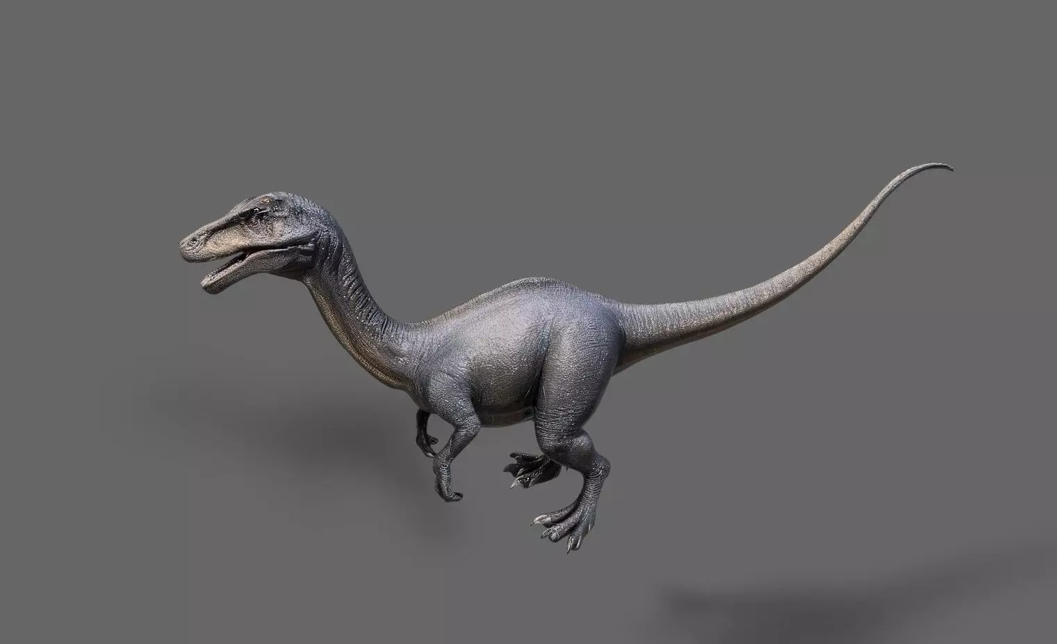 Dinosaurs Pack 7 Low-poly 3D model_4