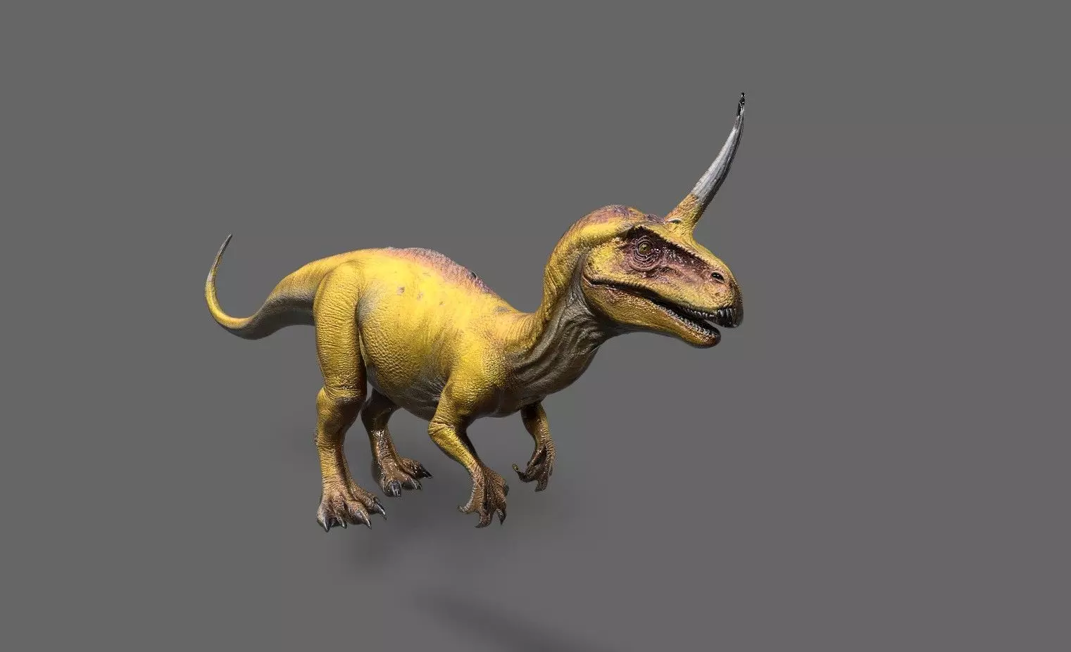 Dinosaurs Pack 7 Low-poly 3D model_7