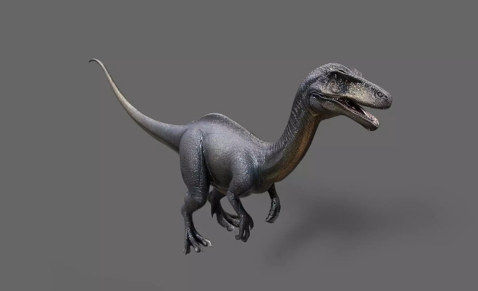 Dinosaurs Pack 7 Low-poly 3D model_27