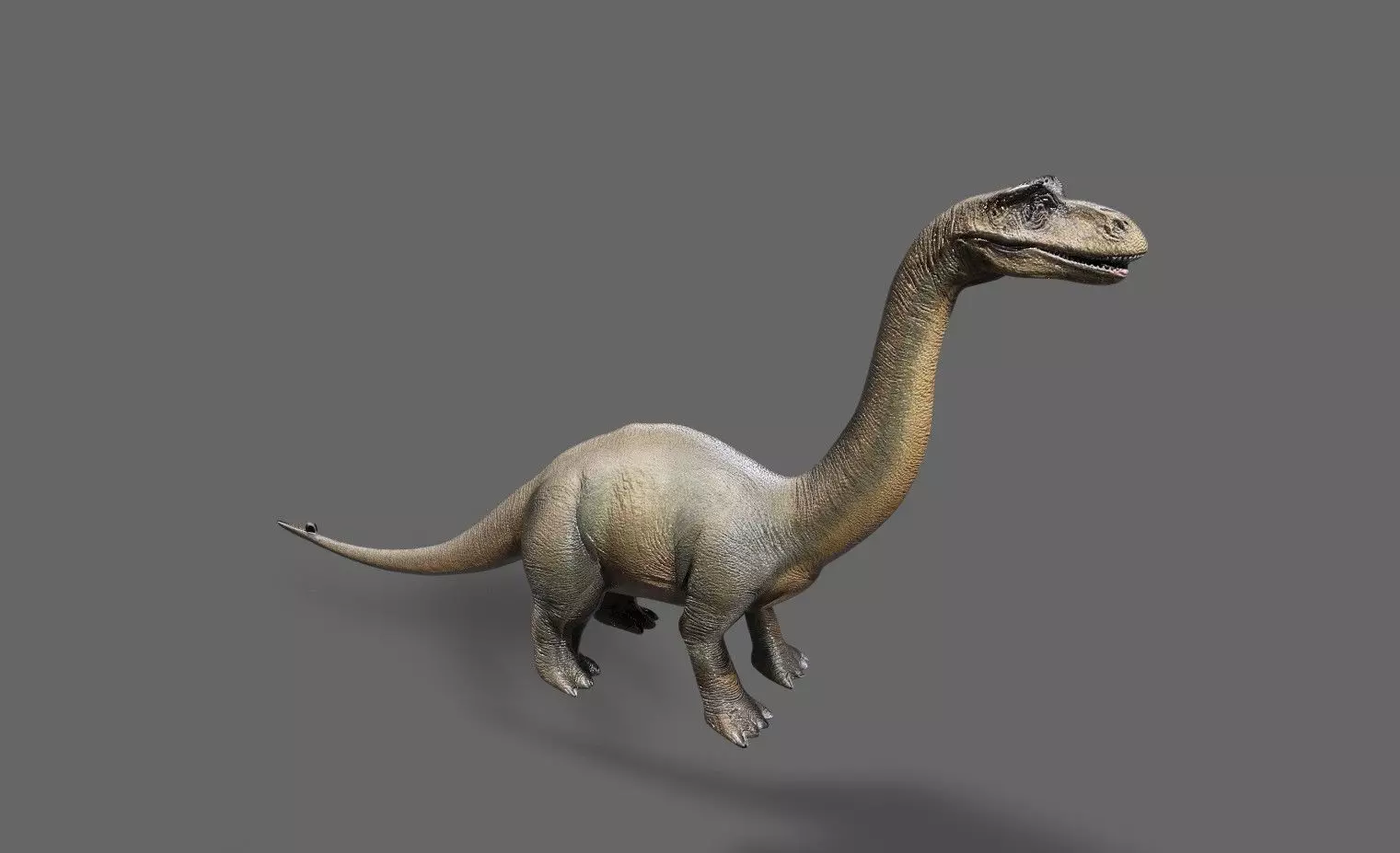 Dinosaurs Pack 7 Low-poly 3D model_15