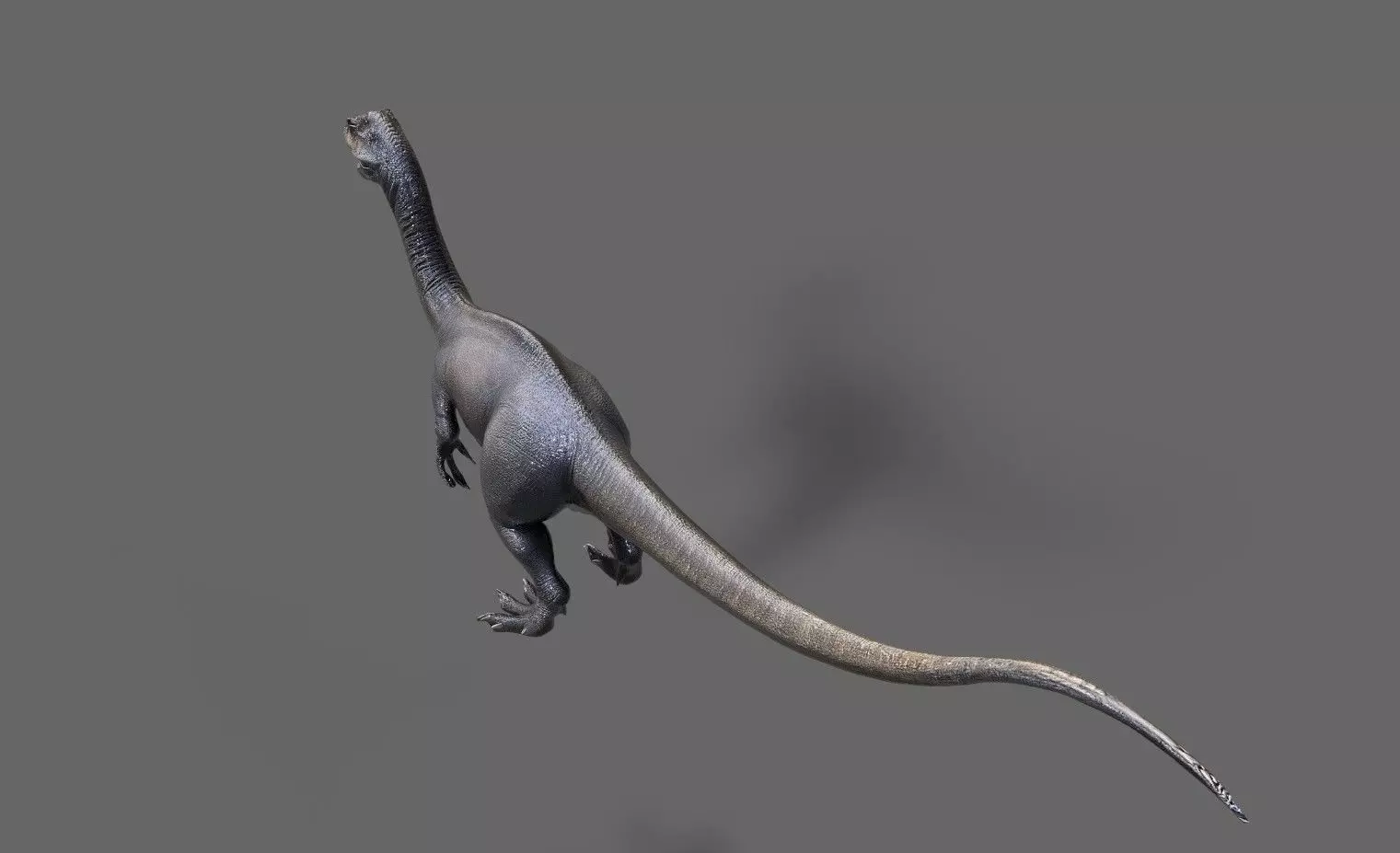 Dinosaurs Pack 7 Low-poly 3D model_18