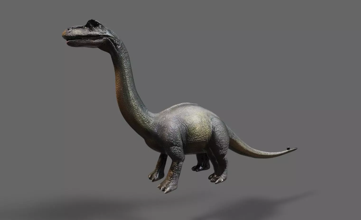 Dinosaurs Pack 7 Low-poly 3D model_1