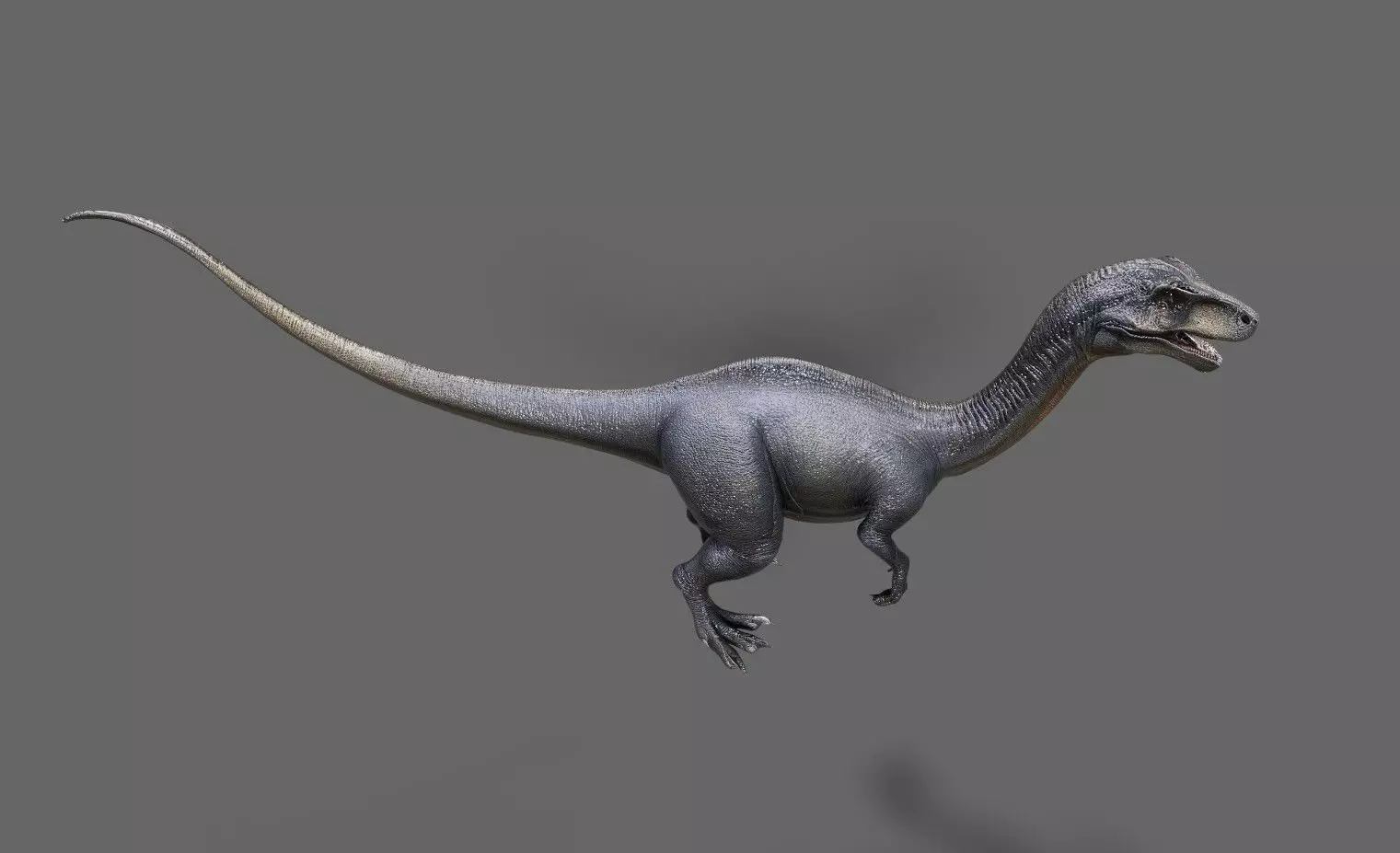 Dinosaurs Pack 7 Low-poly 3D model_29