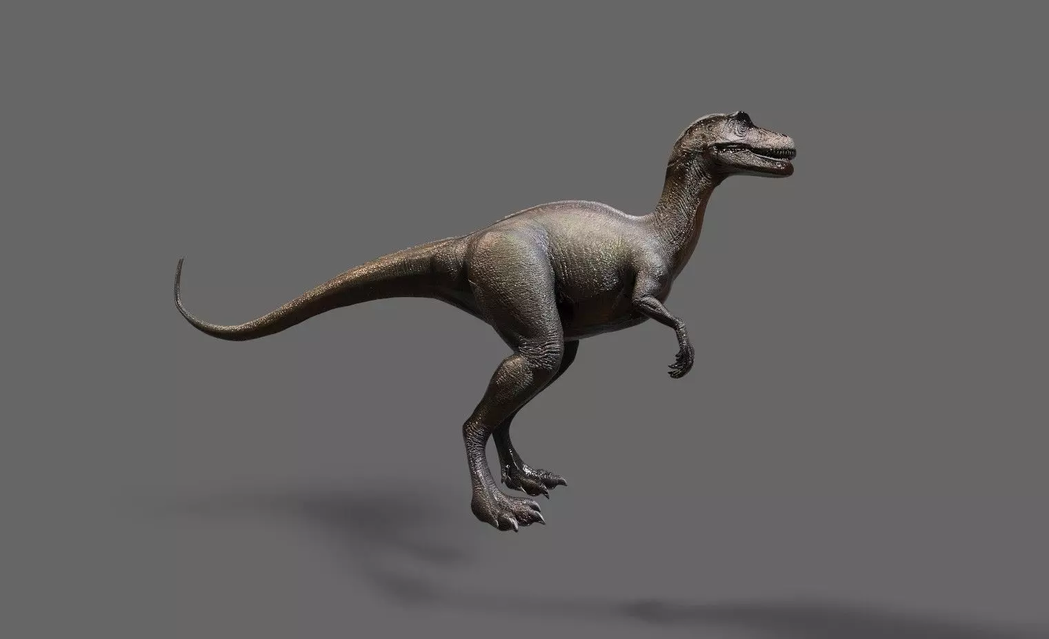 Dinosaurs Pack 7 Low-poly 3D model_9