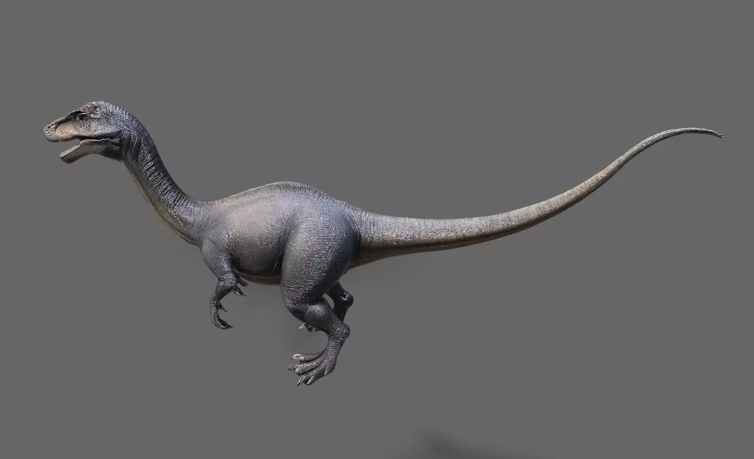 Dinosaurs Pack 7 Low-poly 3D model_11