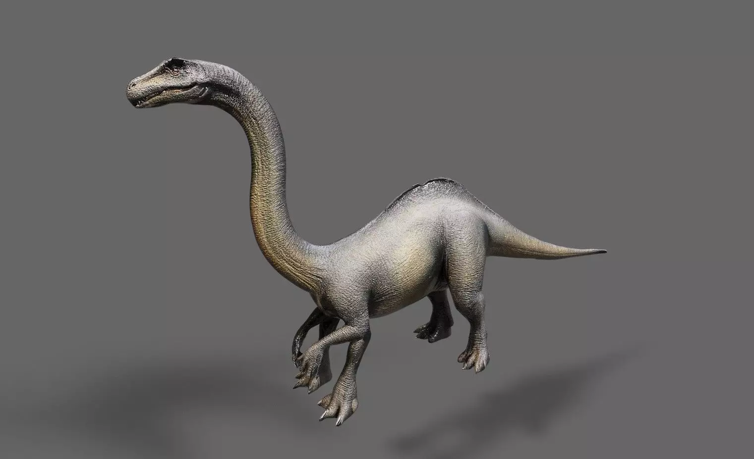 Dinosaurs Pack 7 Low-poly 3D model_20