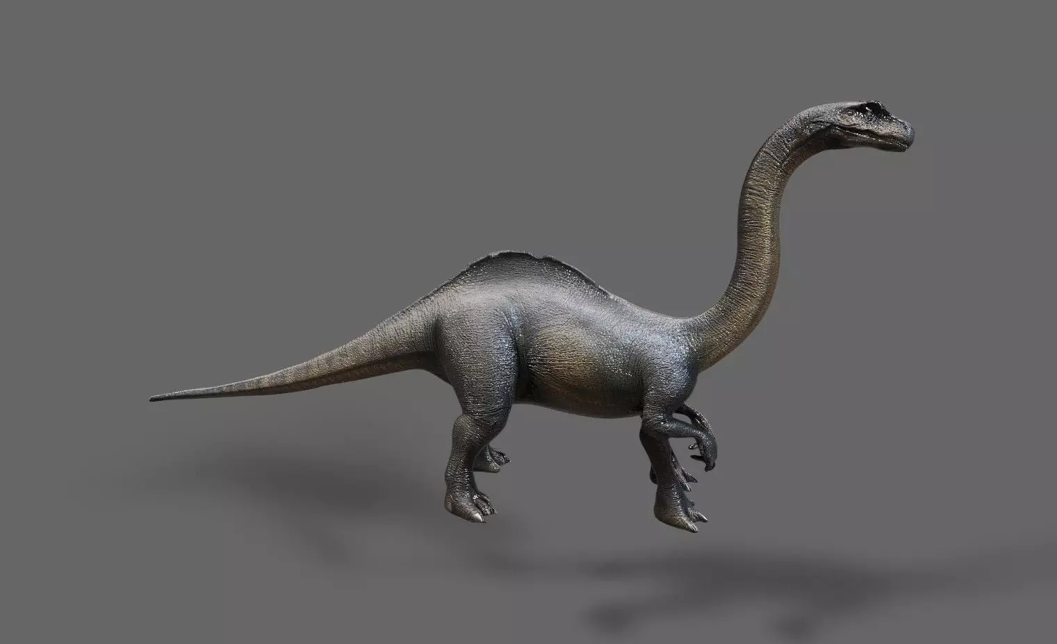 Dinosaurs Pack 7 Low-poly 3D model_13