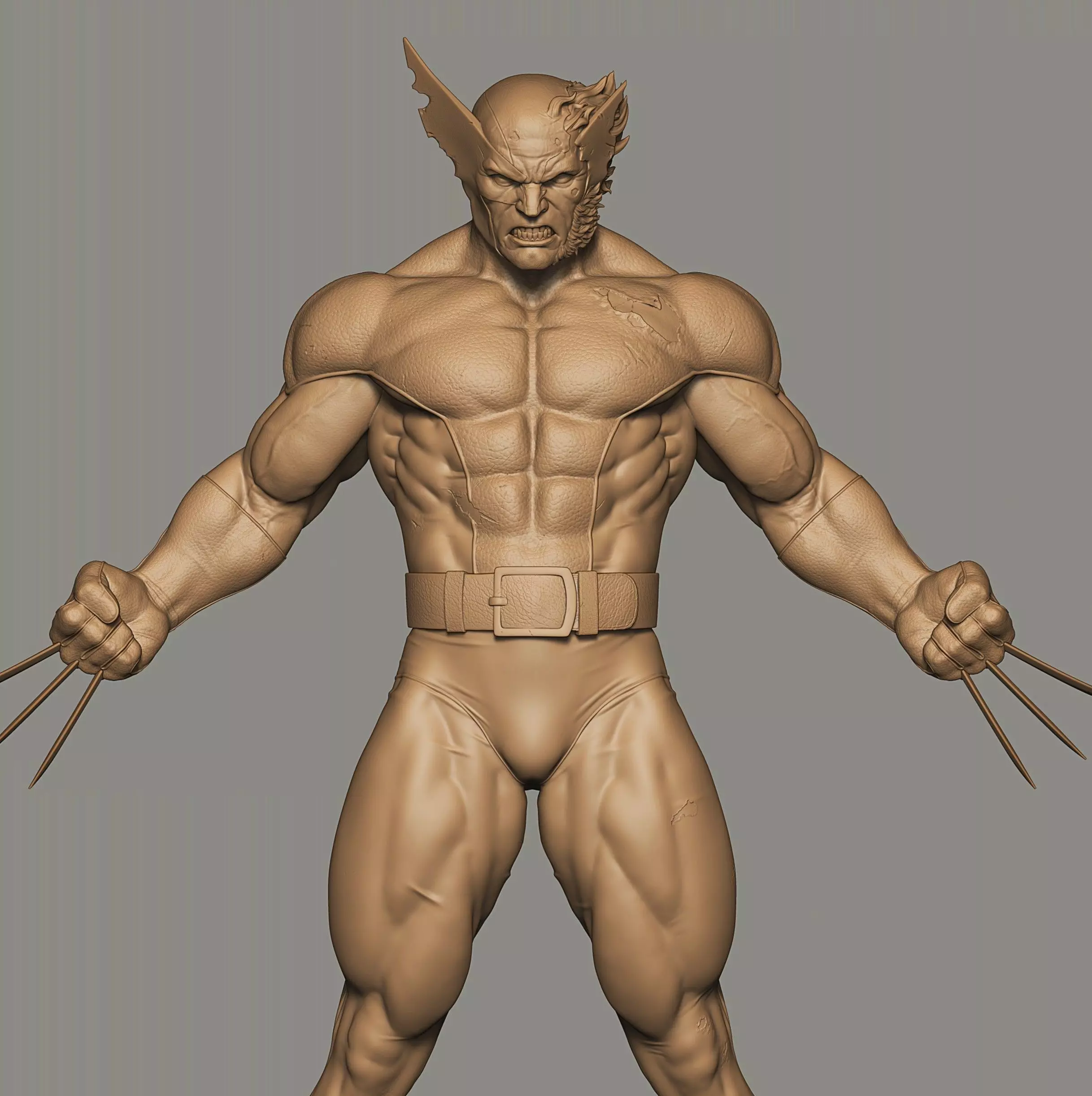 Wolverine Battle Damaged 3D print model_3