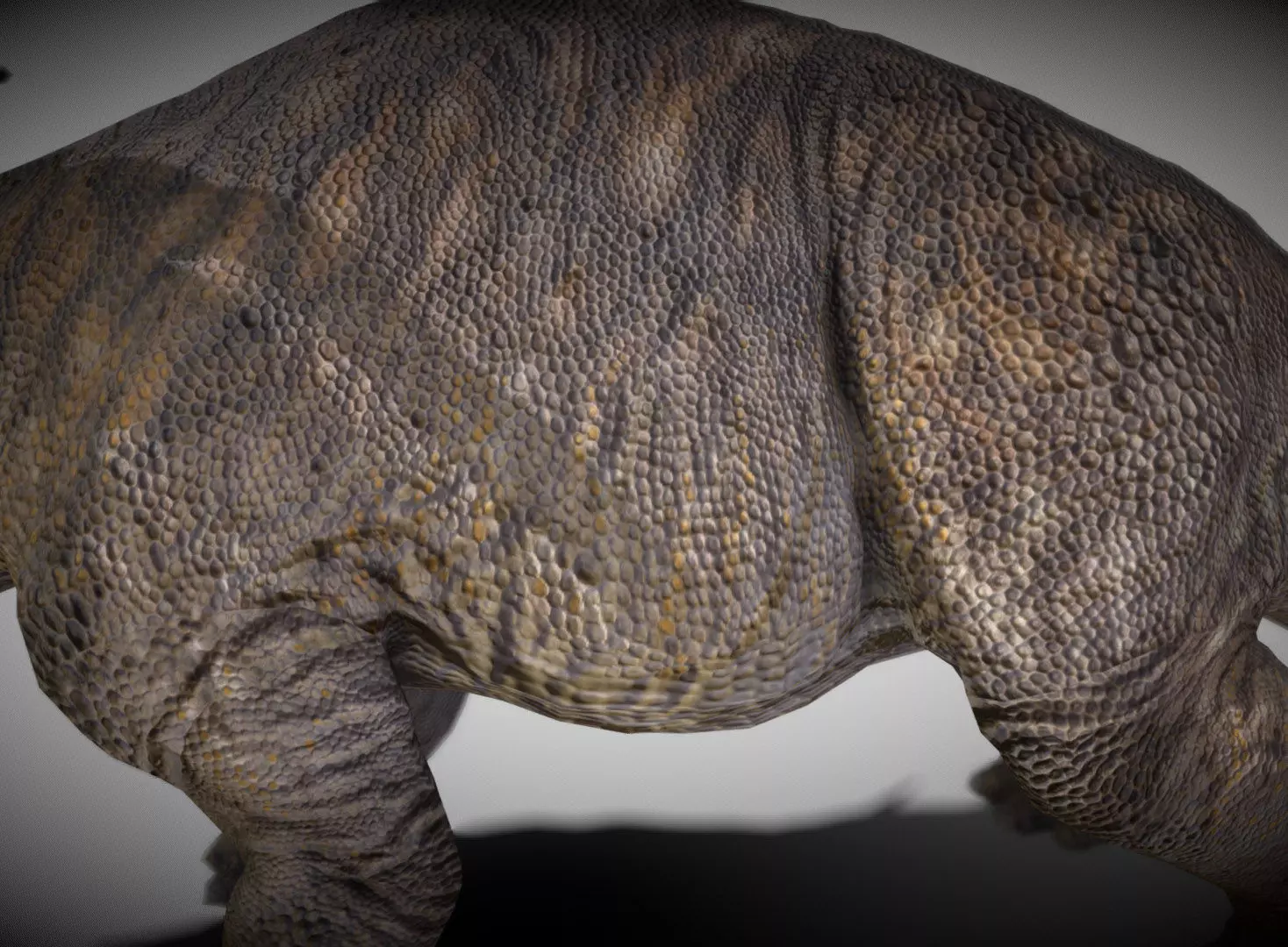 Styracosaurus V2 Low-poly 3D model_7