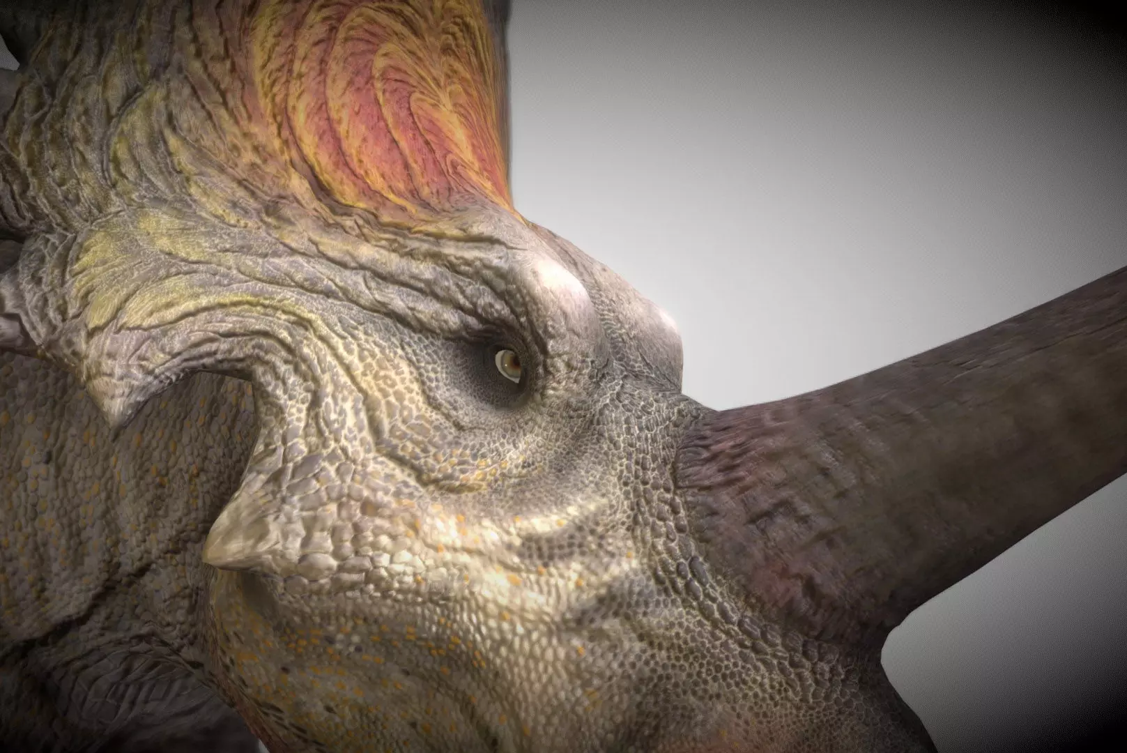 Styracosaurus V2 Low-poly 3D model_0