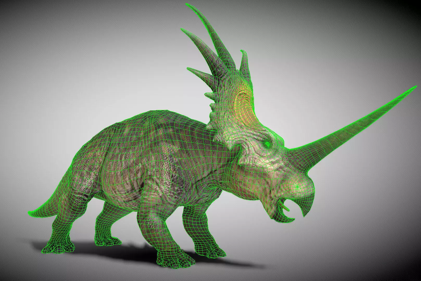 Styracosaurus V2 Low-poly 3D model_4