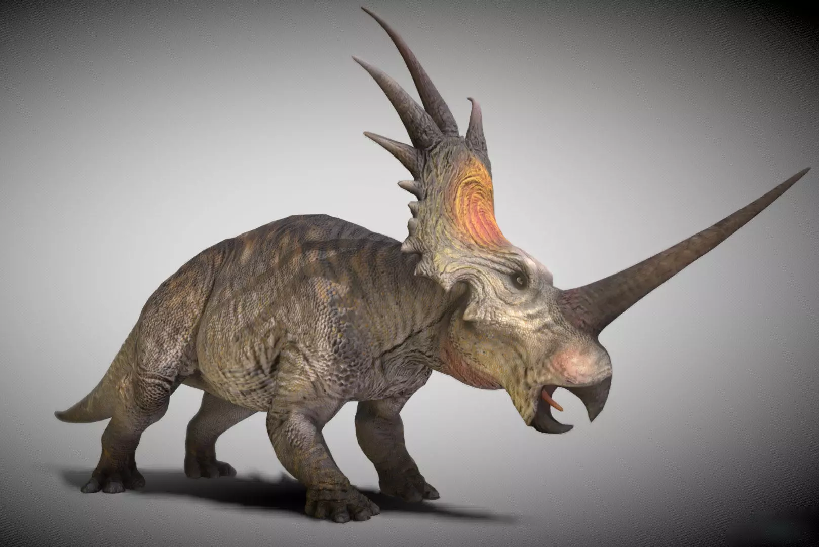 Styracosaurus V2 Low-poly 3D model_3