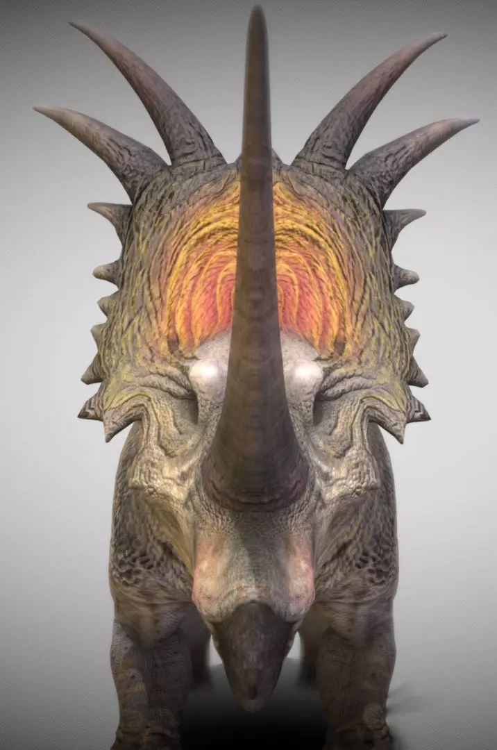 Styracosaurus V2 Low-poly 3D model_5
