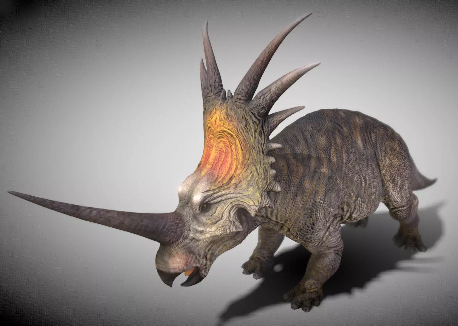 Styracosaurus V2 Low-poly 3D model_9