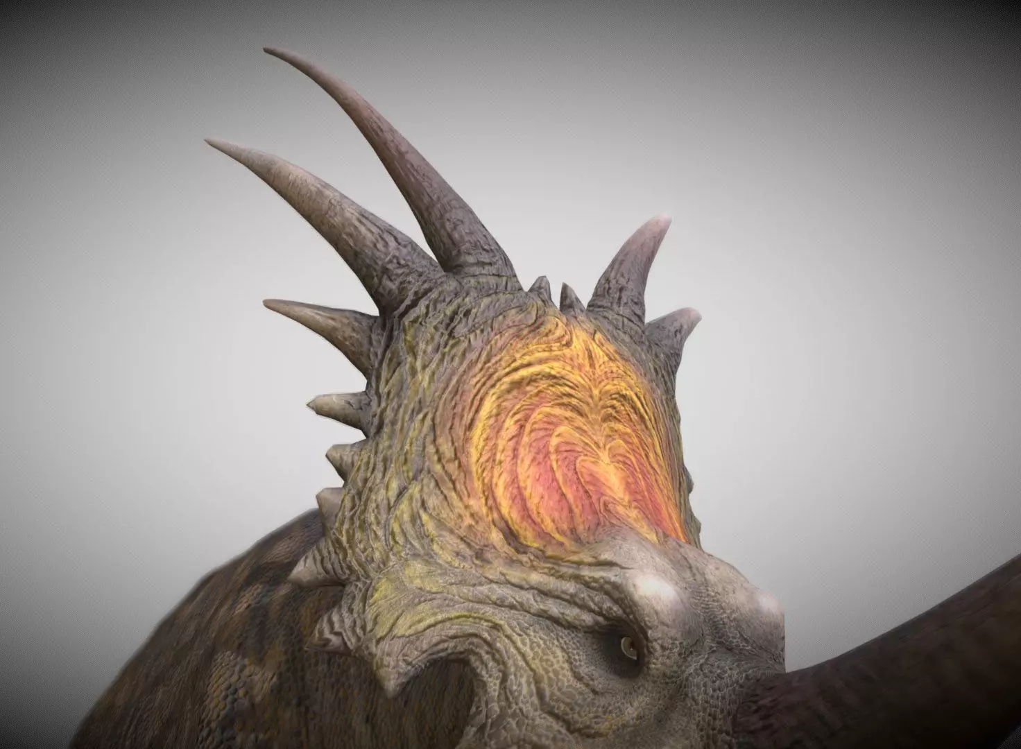 Styracosaurus V2 Low-poly 3D model_6