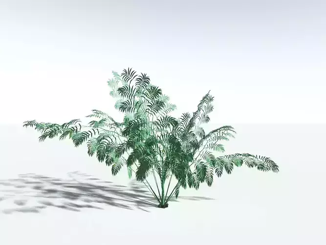 EVERYPlant King Fern LowPoly