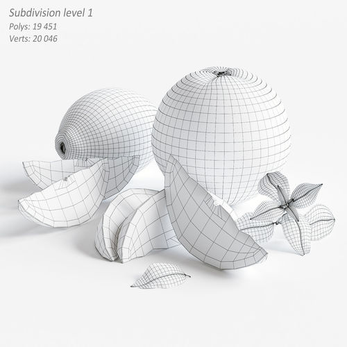 Citrus two oranges and lemon 3D model 7