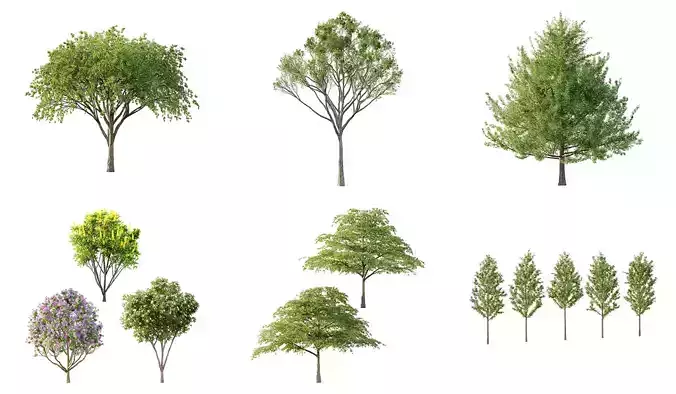 Excellent collection of Tree plants 130Different Models 0010