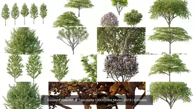 Excellent collection of Tree plants 130Different Models 0010