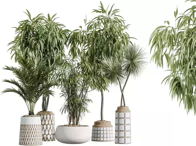 AV Indoor Plants Set 379 Ficus Yucca Palm Kentia Binnendijkii
